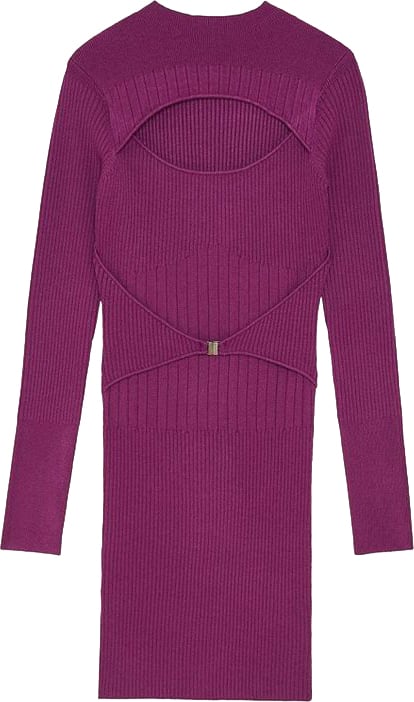 Patrizia Pepe Patrizia Pepe Purple Viscose Casual Dress Paars