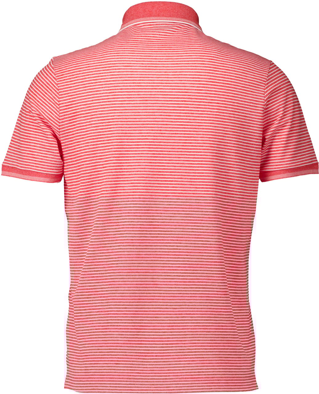 Paul & Shark Paul & Shark  Polos Rood 25411226 Rood