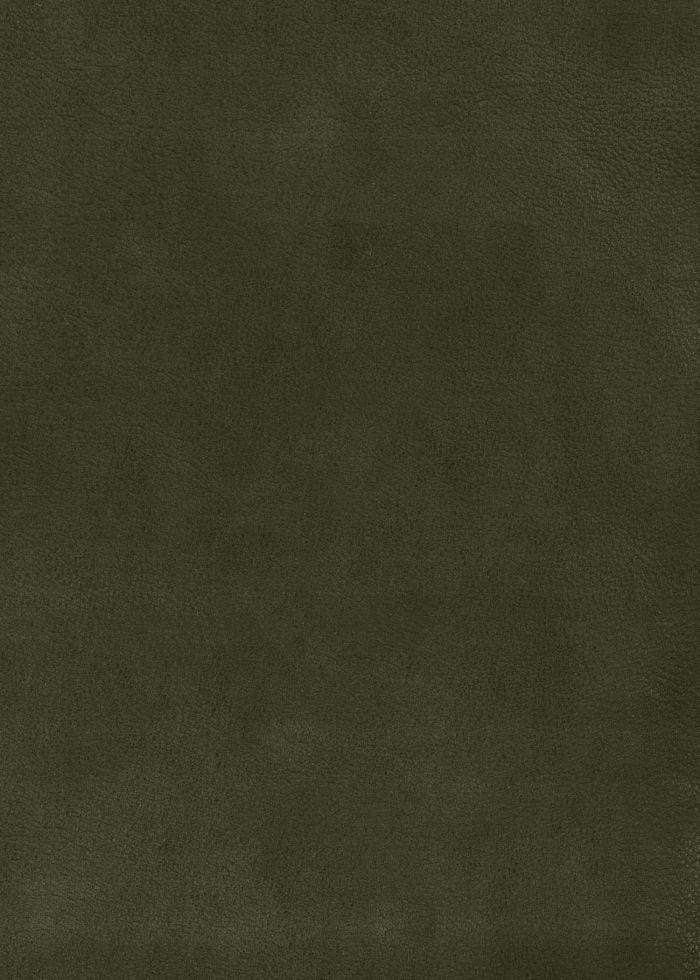 Paul Smith Caban croisé cuir vert col fourrure Paul Smith Homme M1R 653Z T02813 35 Groen