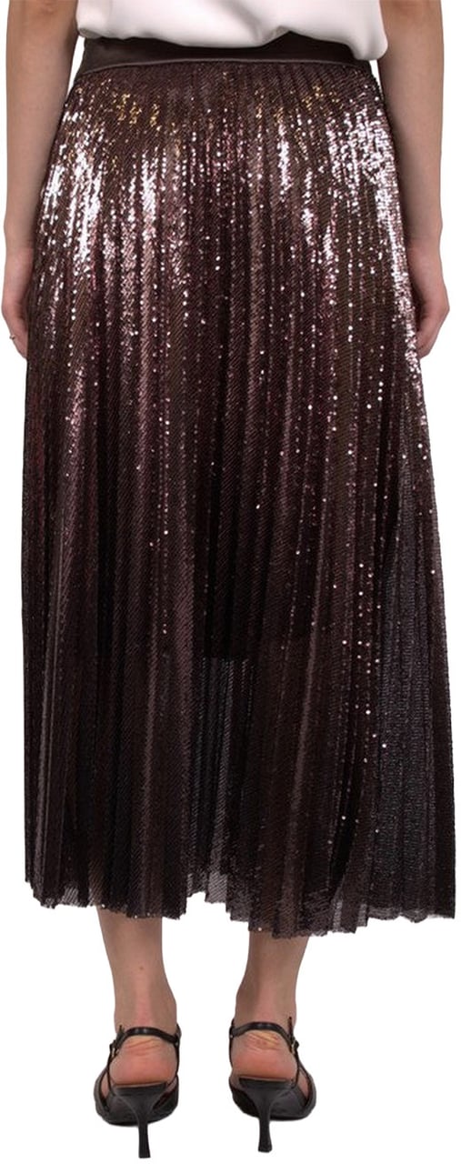 Peserico Skirt Brown Bruin