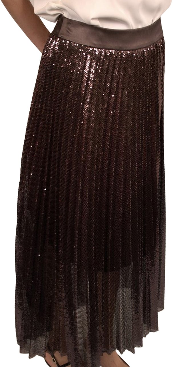 Peserico Skirt Brown Bruin