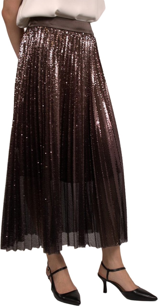 Peserico Skirt Brown Bruin