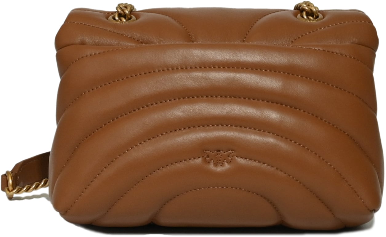 Pinko Bags Marrone Leoneantique Gold Bruin