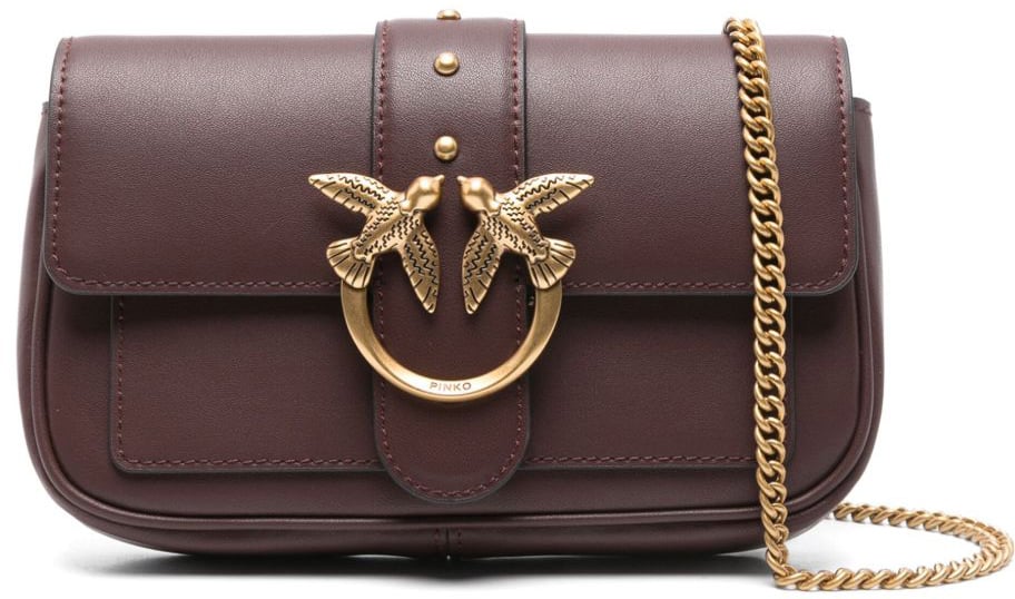 Pinko Bags Ciocc Amaro Divers