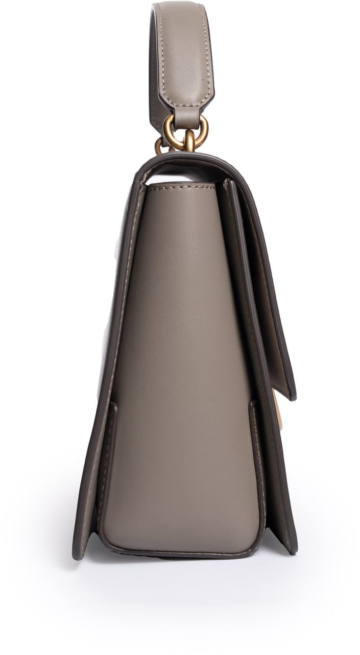 Pinko Bags Noceantique Gold Divers