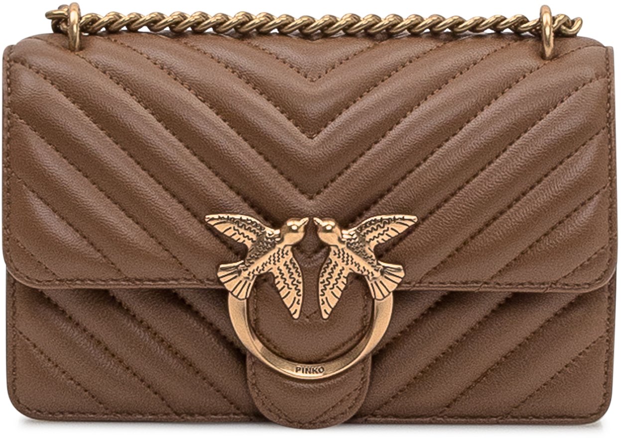 Pinko Bags Brown Bruin