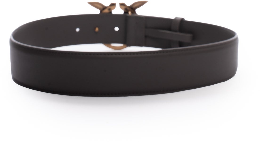 Pinko Belts Grigio Asfalto 1 Antique Gol Grijs