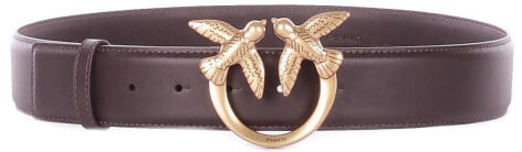 Pinko Belts Brown Bruin