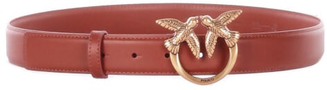 Pinko Belts Antique Brown Bruin
