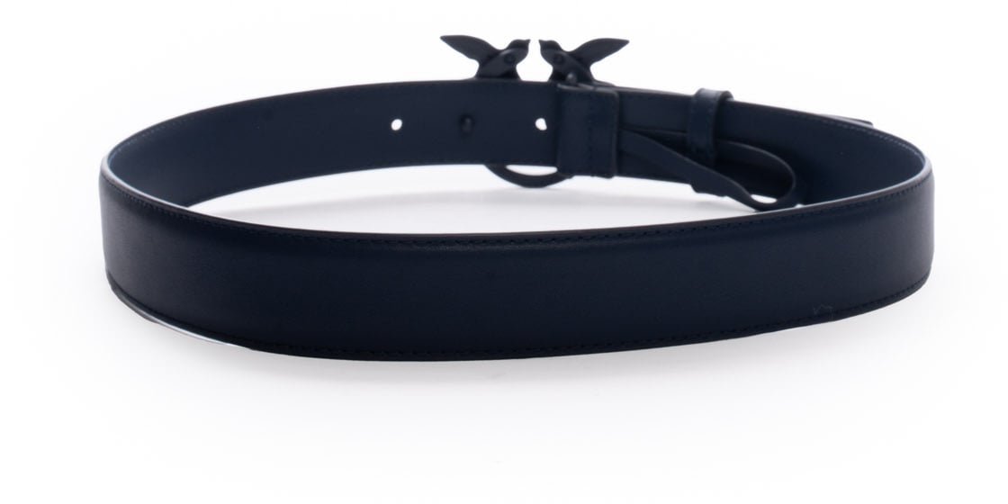 Pinko Belts Blu Indaco Ombrosoblock Color Blauw