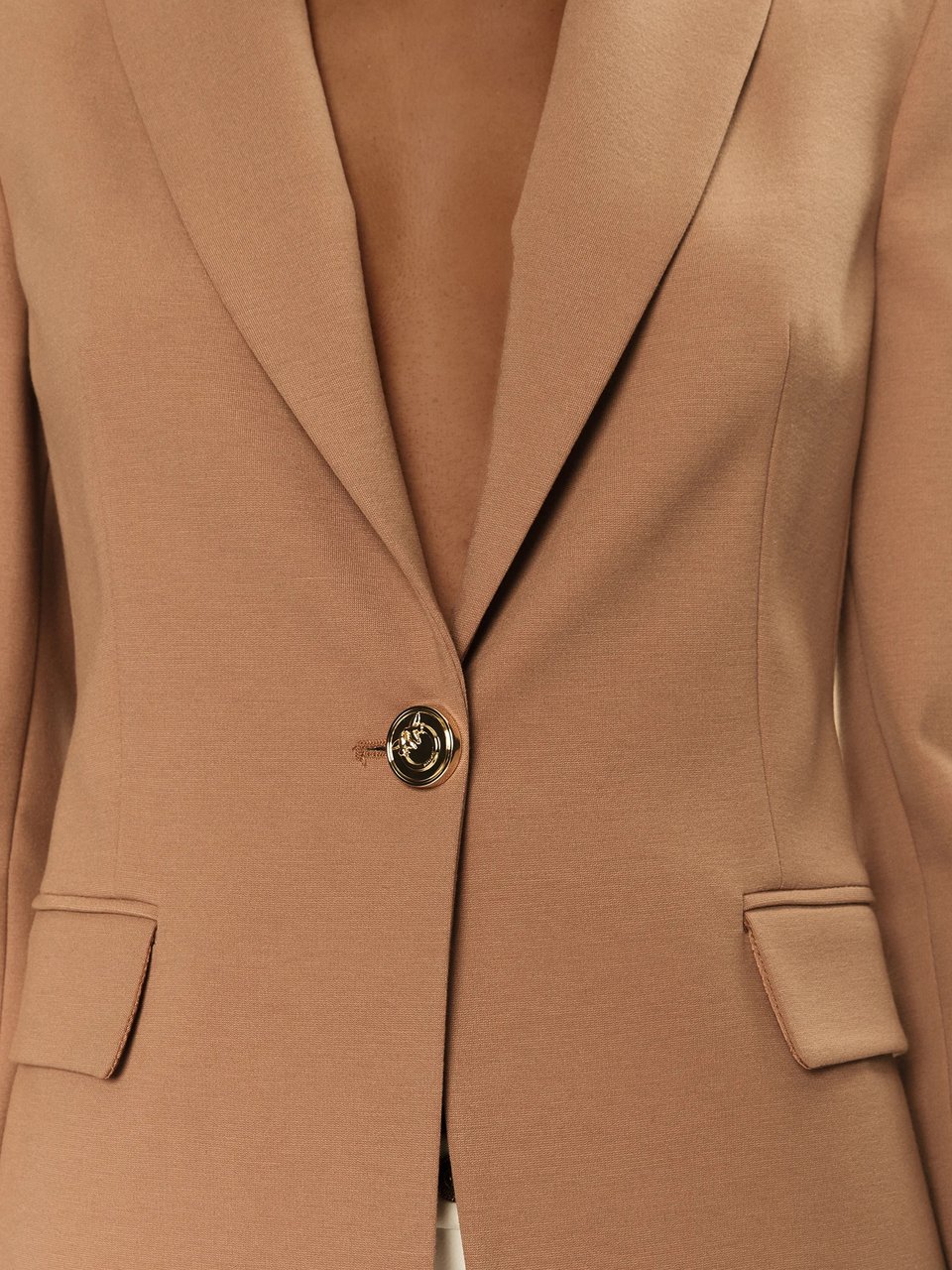 Pinko Jackets Brown Bruin