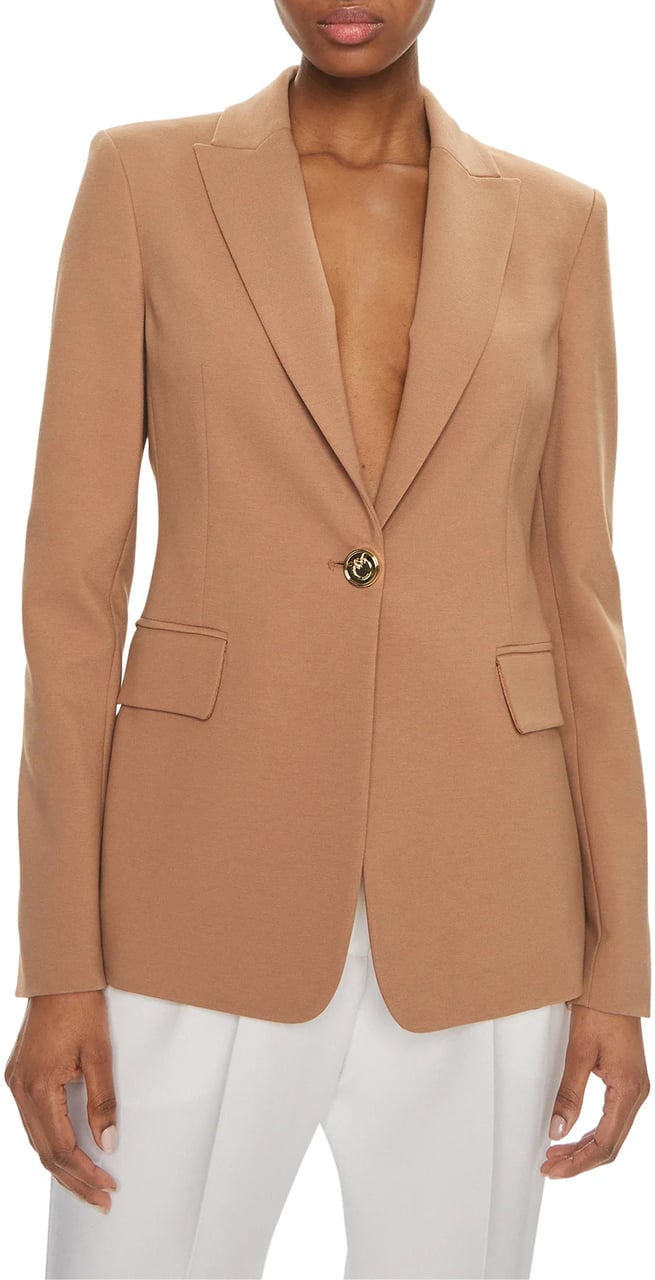 Pinko Jackets Brown Bruin