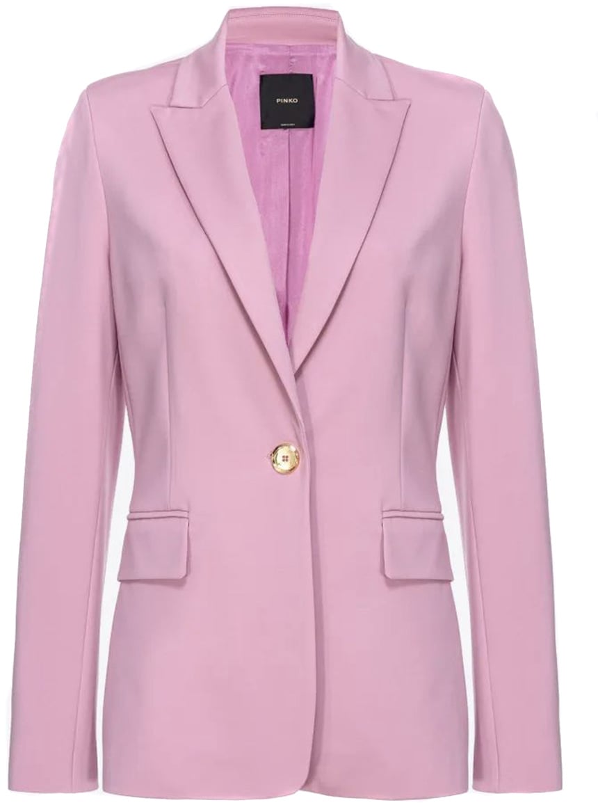 Pinko Blazers Purple Paars