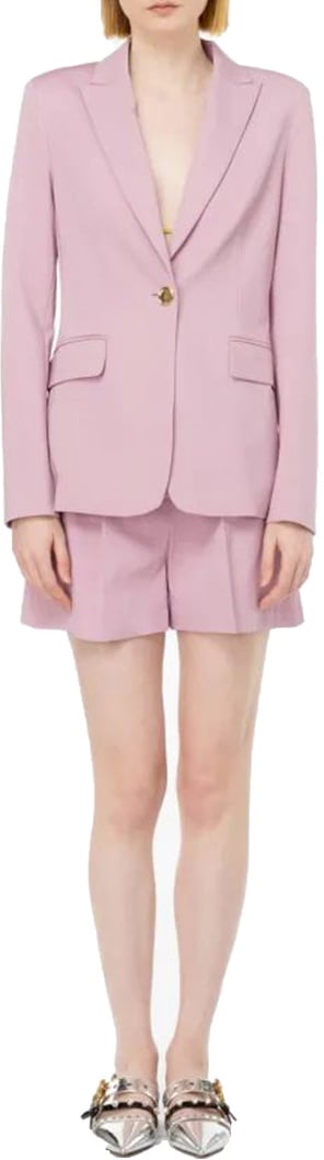 Pinko Blazers Purple Paars