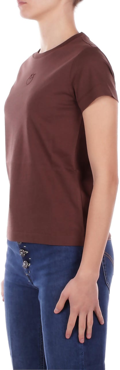Pinko T-Shirts And Polos Brown Bruin