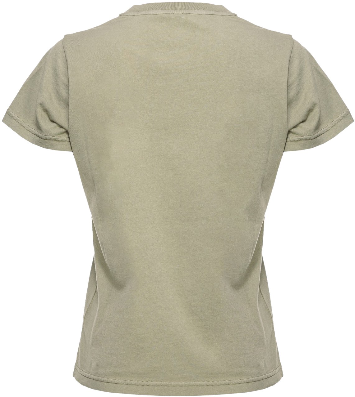 Pinko T-Shirts And Polos Green Groen