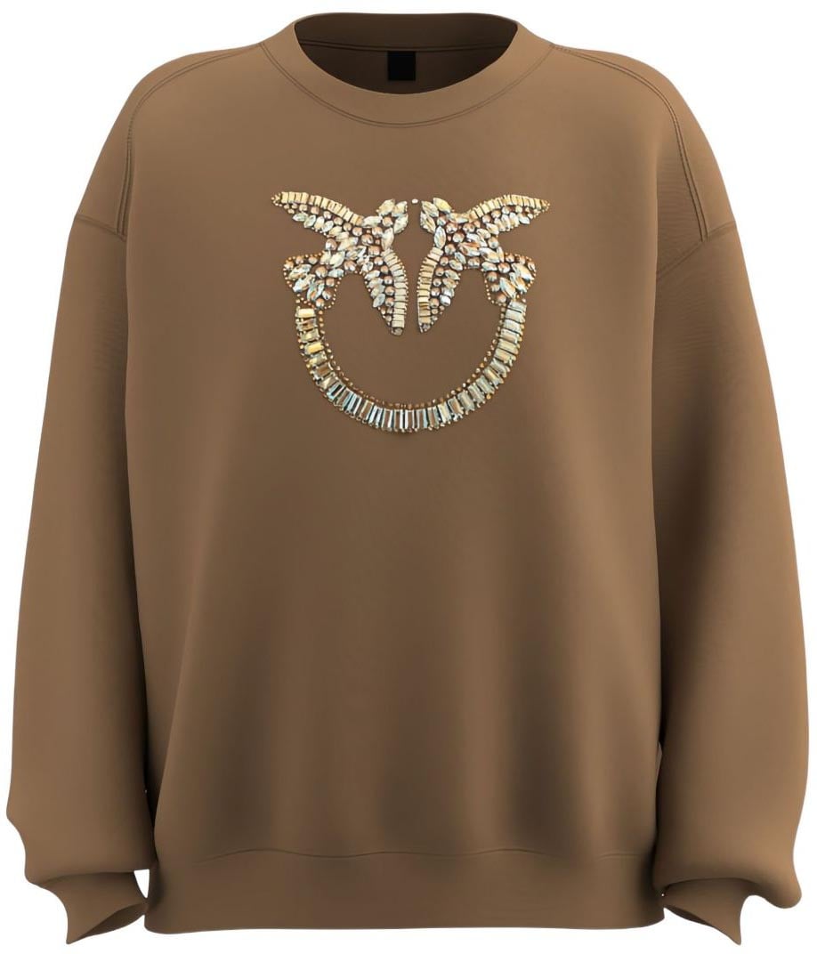 Pinko Sweaters Brown Bruin