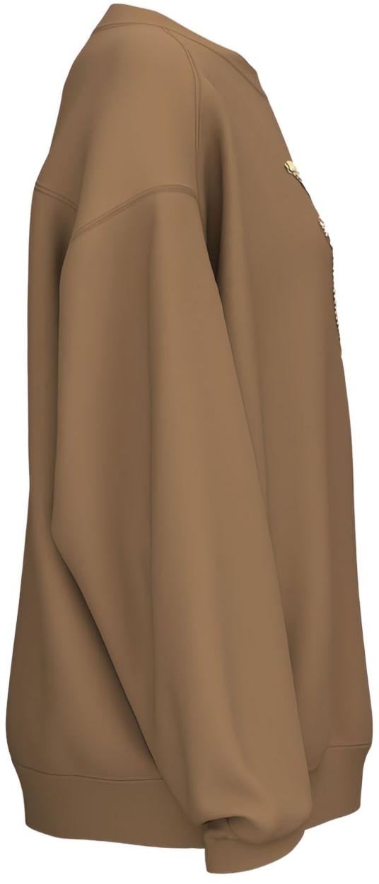 Pinko Sweaters Brown Bruin