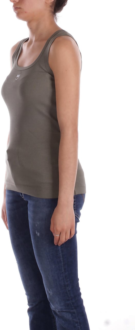 Pinko T-Shirts And Polos Verde Salvia Groen