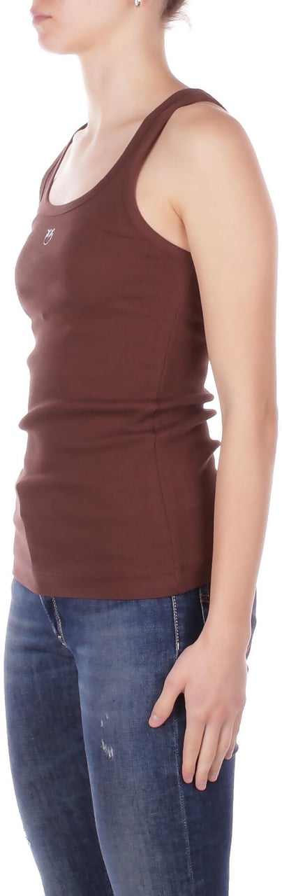 Pinko T-Shirts And Polos Brown Bruin