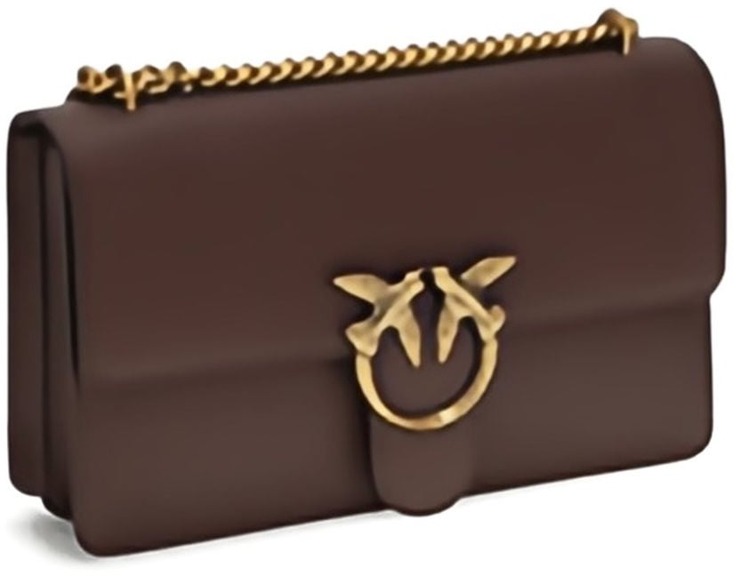 Pinko Bags Brown Bruin