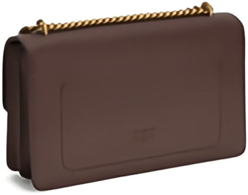 Pinko Bags Brown Bruin