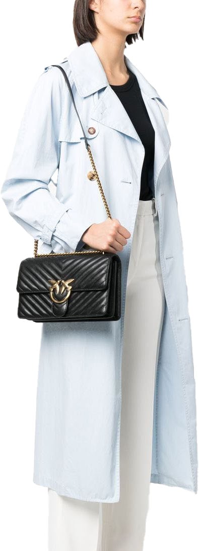 Pinko Pinko Bags.. Black Zwart