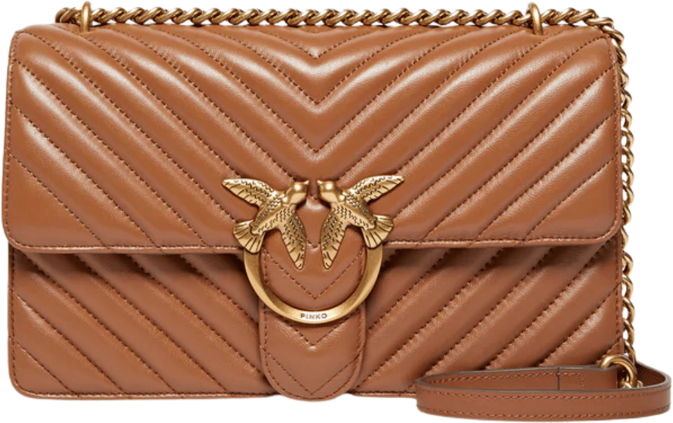 Pinko Bags Brown Bruin