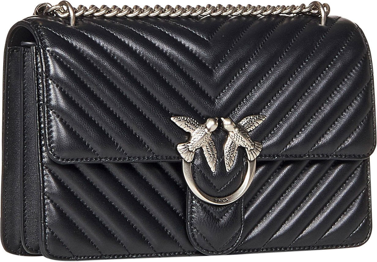 Pinko Love One Classic Dc Nero-Old Silver Divers