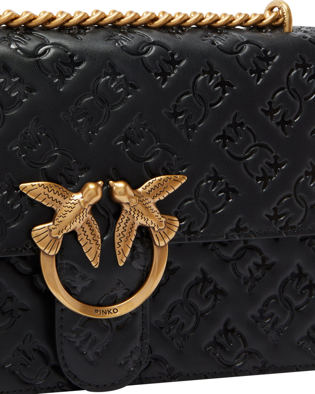 Pinko Bags Neroantique Gold Goud