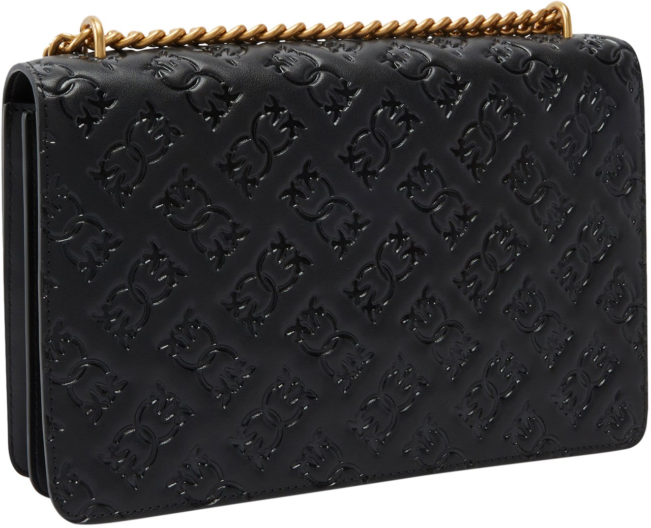 Pinko Bags Neroantique Gold Goud