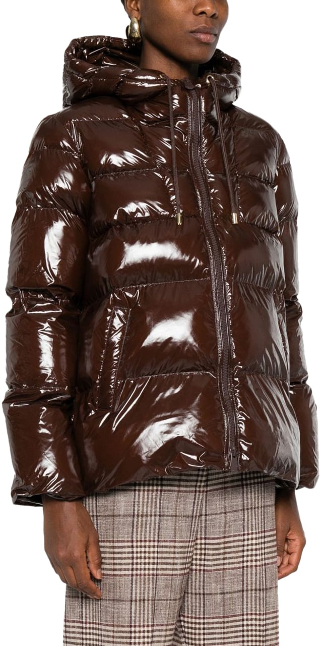 Pinko Coats Brown Bruin
