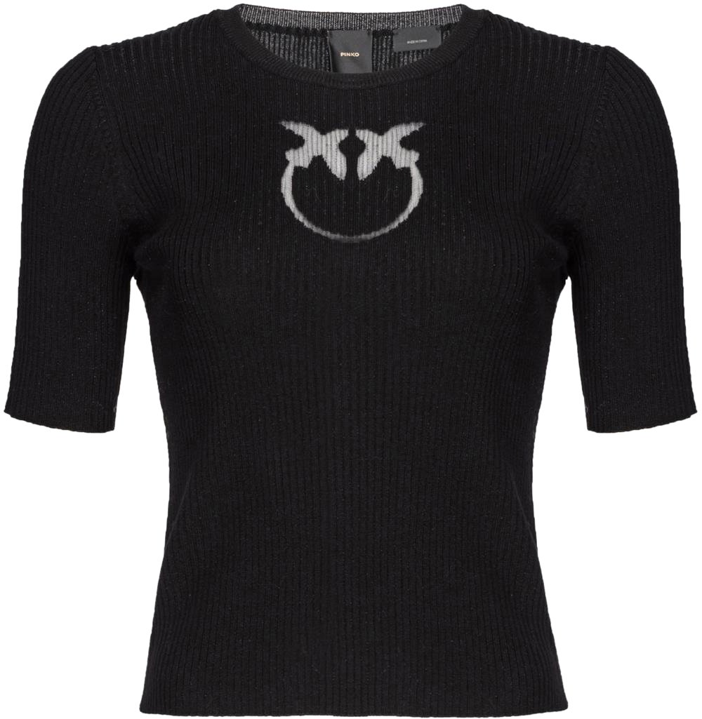 Pinko Sweaters Nero Limousine Zwart
