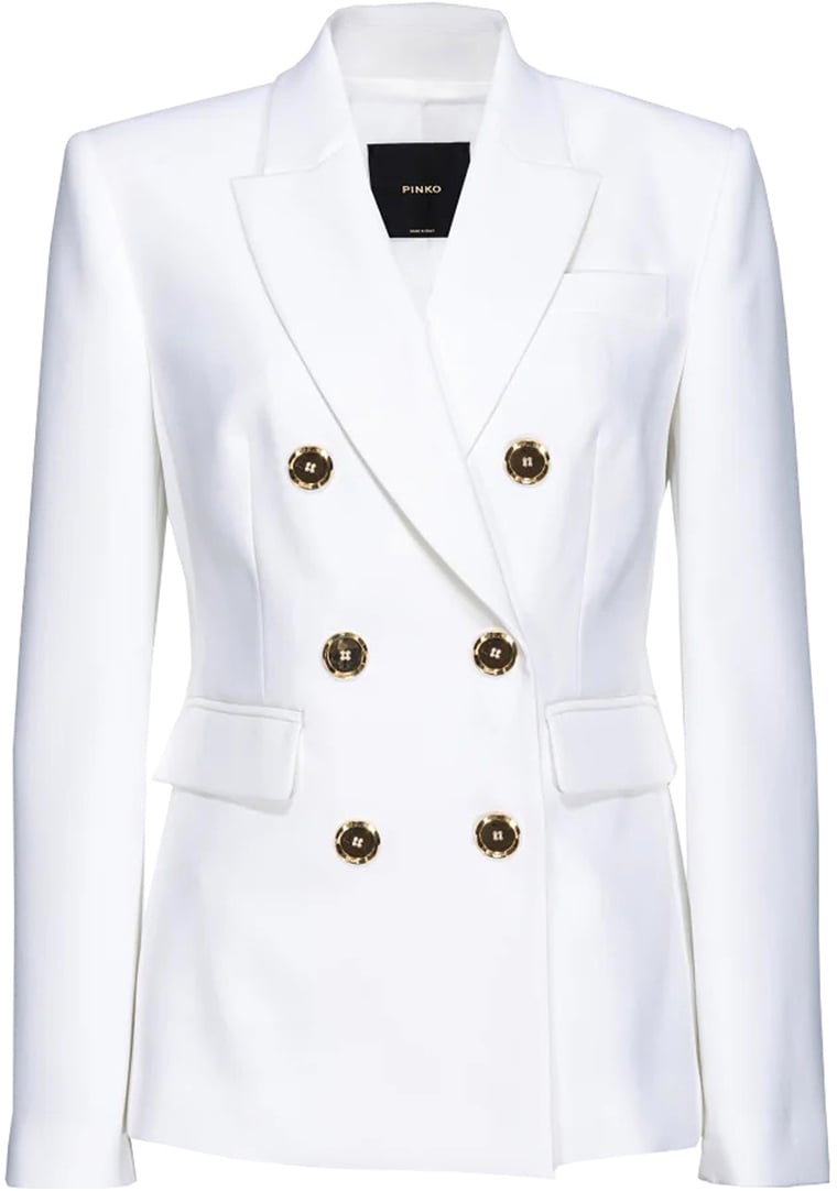 Pinko PINKO 102859A14IZ15 Wit