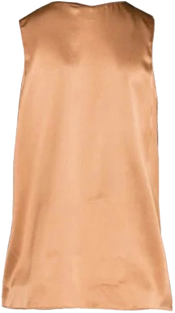 Pinko Tops Brown Bruin