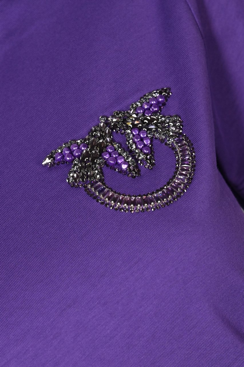 Pinko T-Shirts And Polos Viola Reale Paars