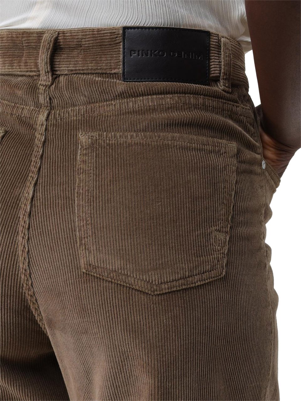 Pinko Trousers Marrone Legno Dolmo Bruin