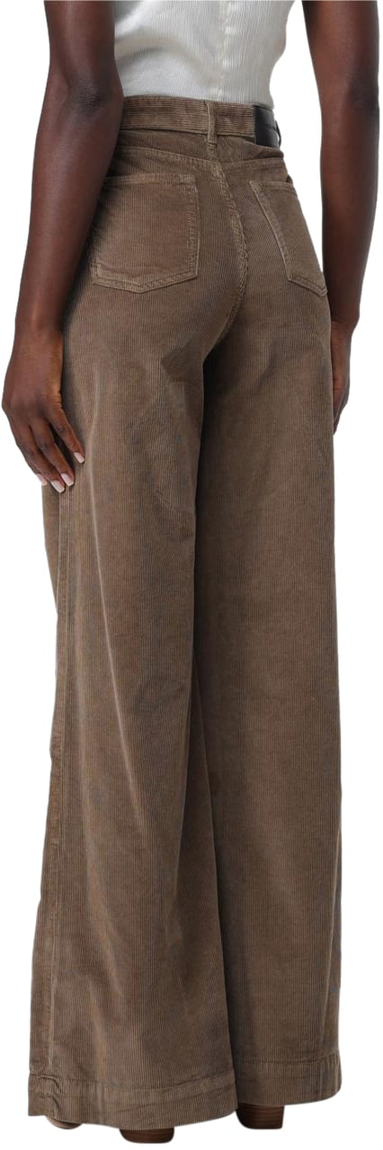 Pinko Trousers Marrone Legno Dolmo Bruin