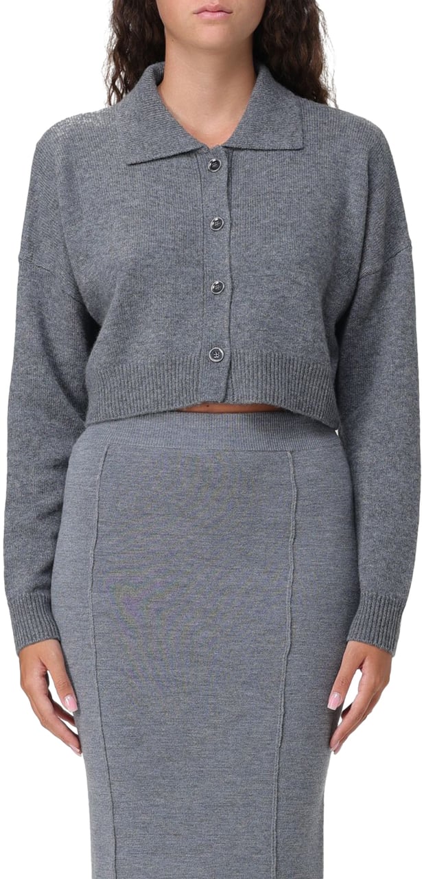 Pinko Sweaters Grey Grijs