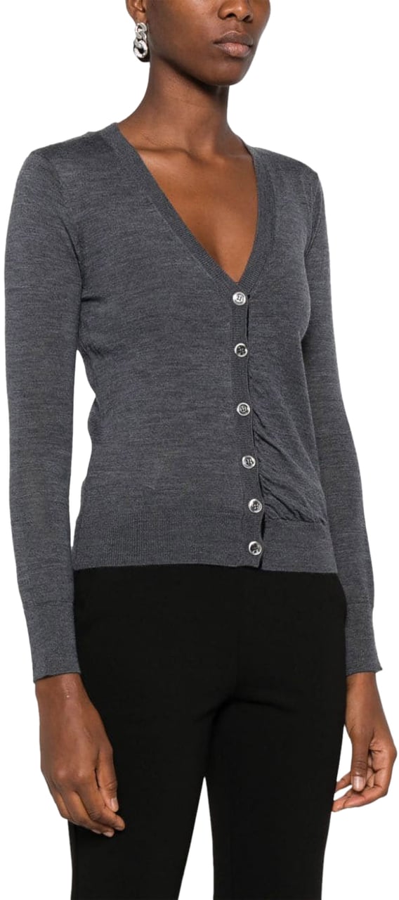 Pinko Sweaters Grigio Corvo Groen