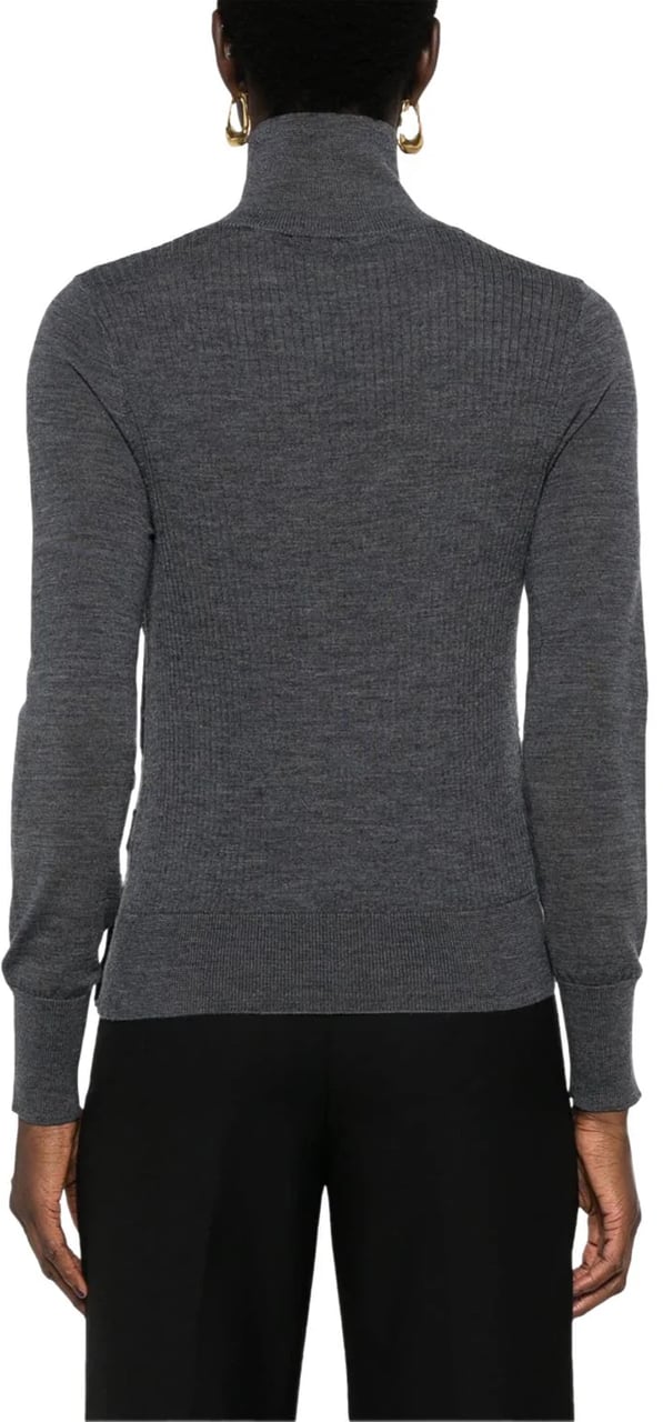 Pinko Sweaters Grigio Corvo Groen