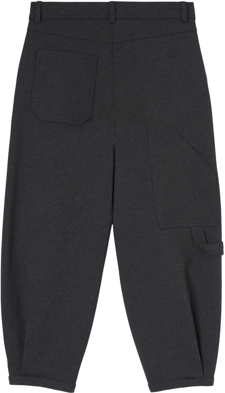 Pinko Trousers Grigio Corvo Groen