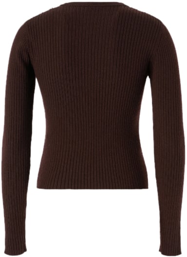 Pinko Sweaters Dark Brown Bruin