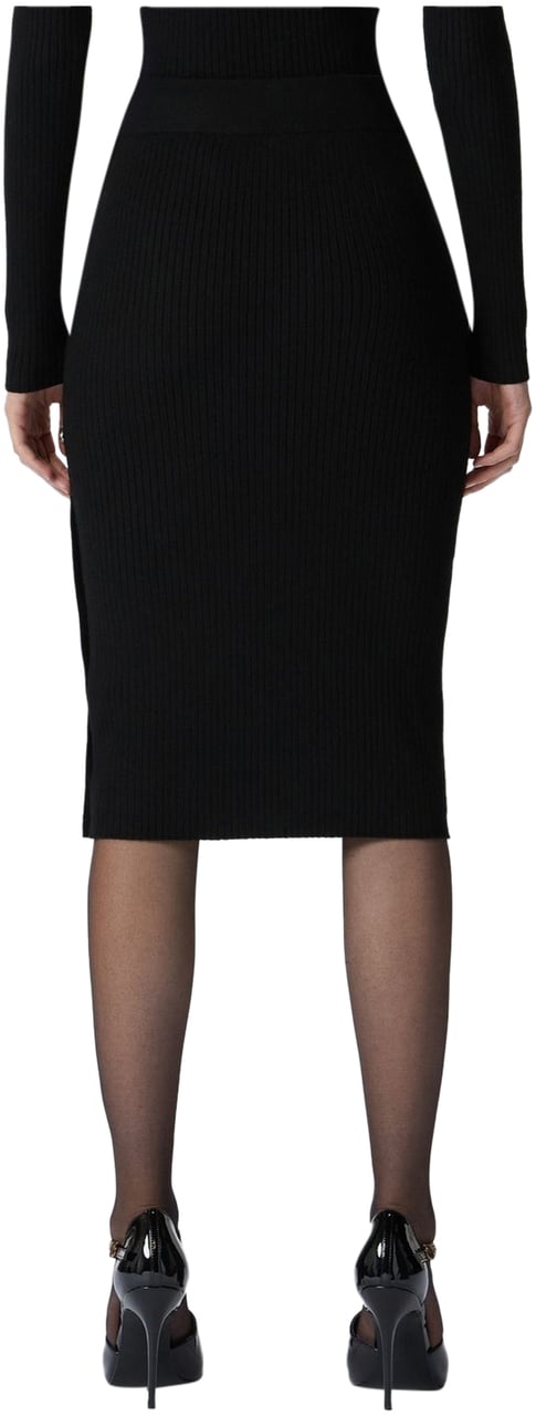 Pinko Skirts Brown Bruin