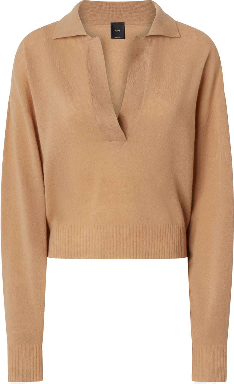 Pinko Sweaters Beige Toupe Caldo Beige