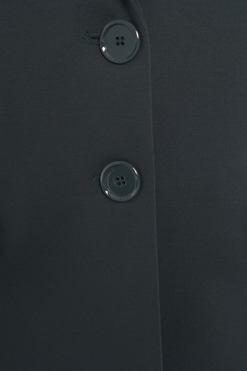 Pinko Single-breasted blazer 'Ruota' Groen