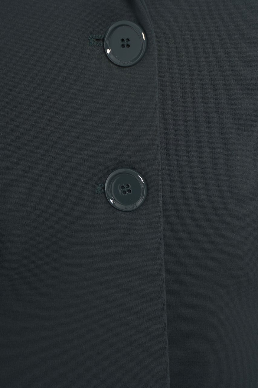 Pinko Blazer monopetto 'Ruota' Groen