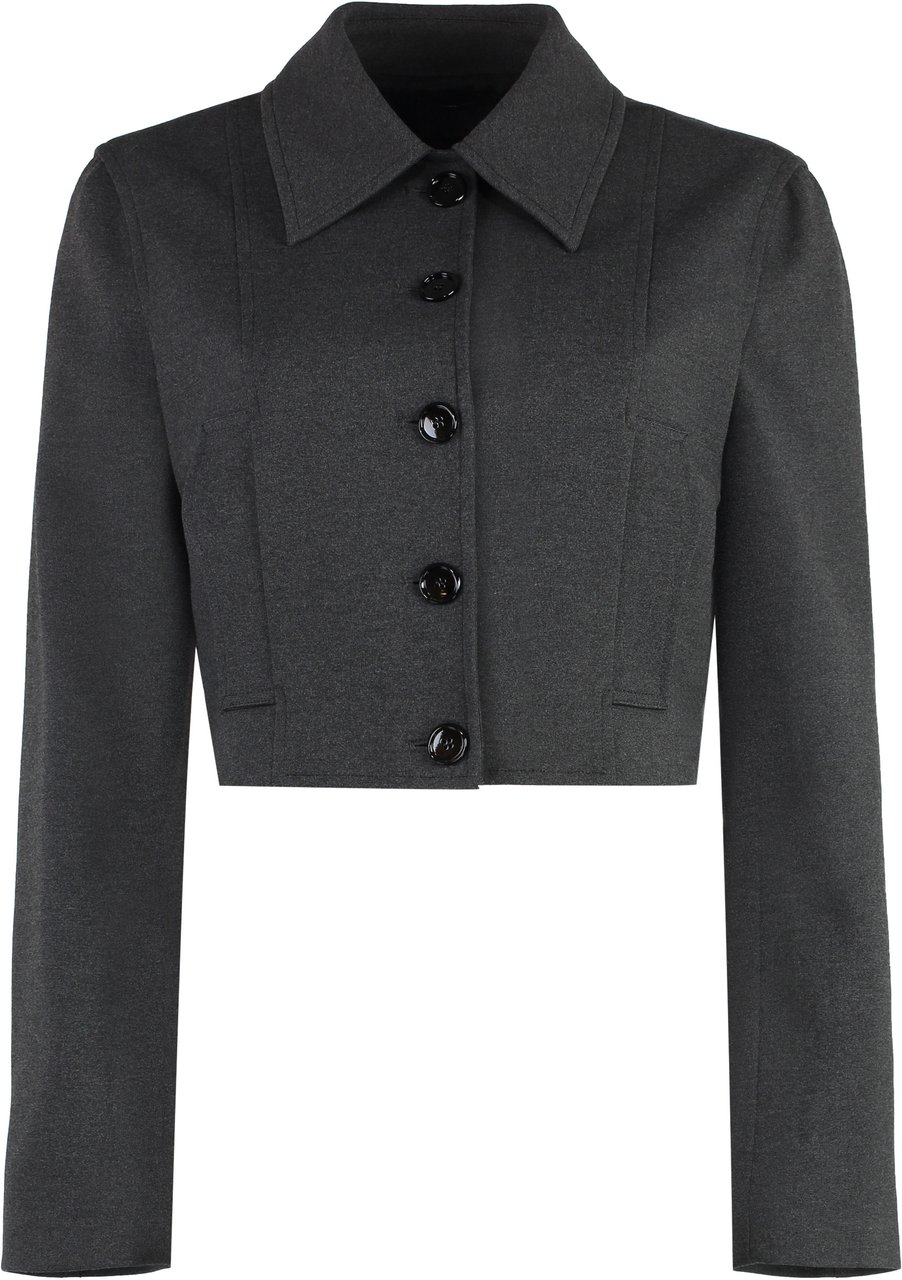 Pinko Doccia single-breasted jacket Grijs