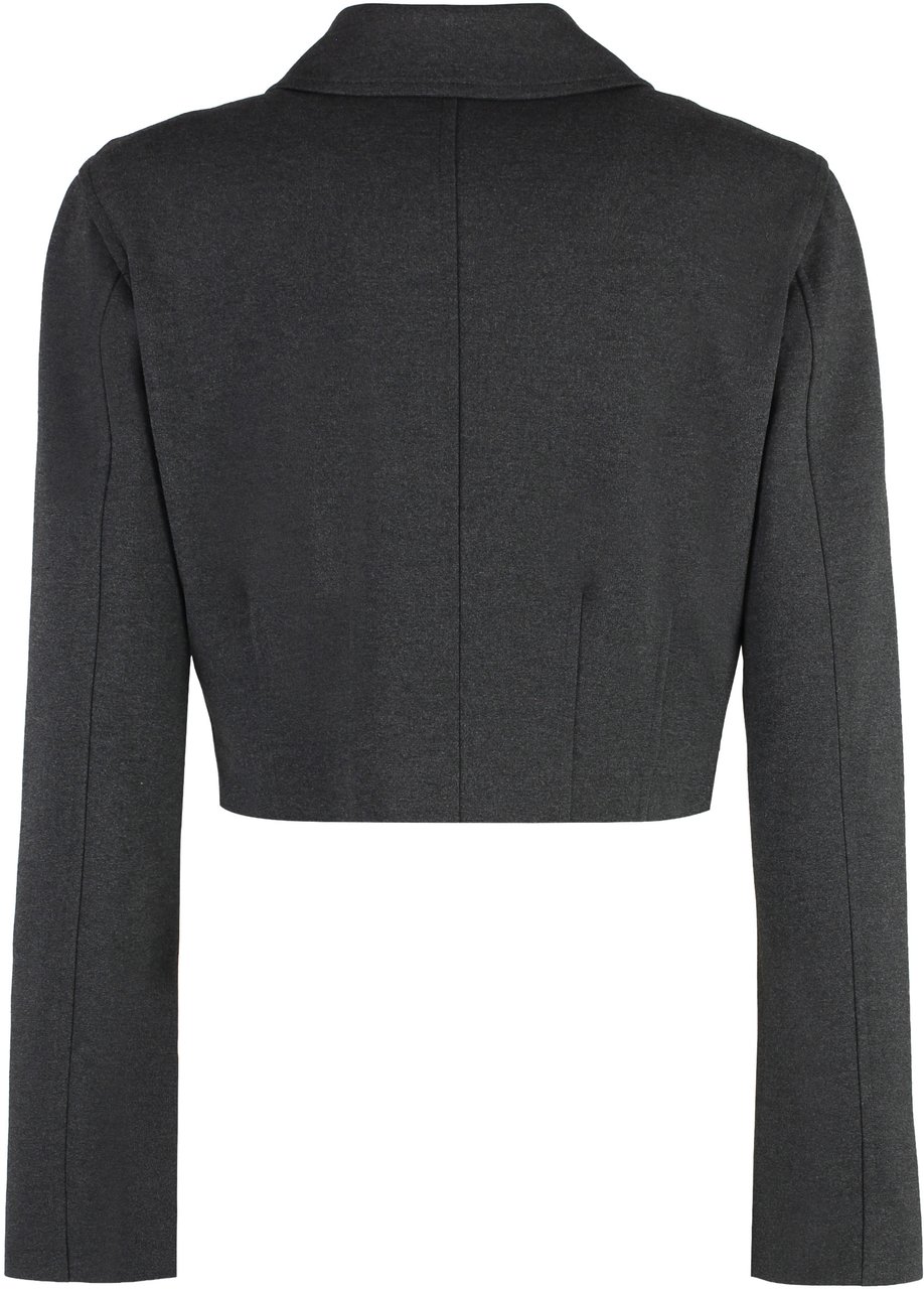 Pinko Doccia single-breasted jacket Grijs