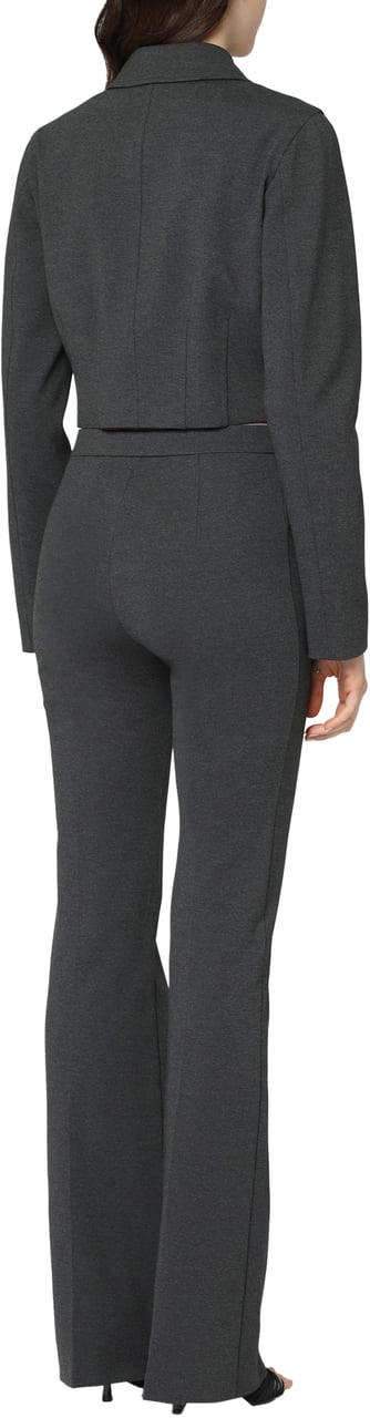 Pinko Doccia single-breasted jacket Grijs